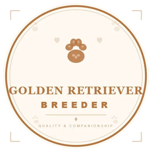 Golden Retriever  Puppies Breeder